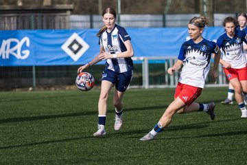 Bild 98 - wBJ Hamburger SV - Hertha BSC : Ergebnis: 2:1